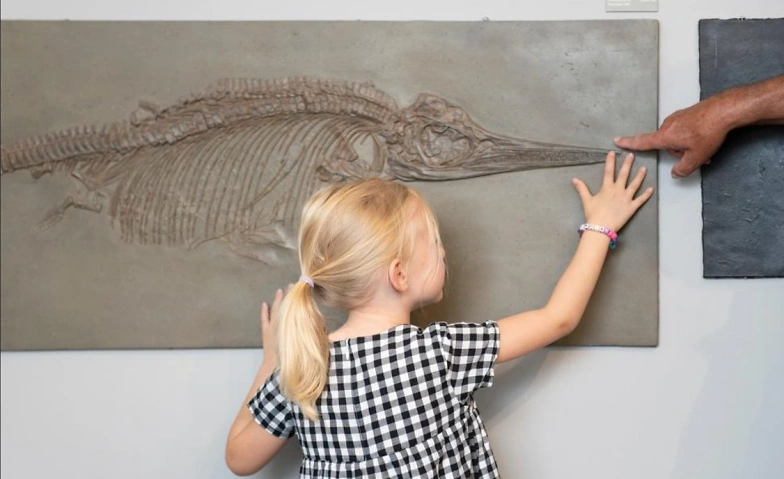 Event-Image for 'Familienführung: Fake or fact? Geheimnisvolle Museumsobjekte'