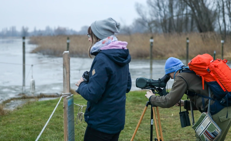 Event-Image for 'Naturerlebnis Bodensee'