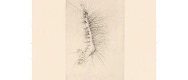 Event-Image for 'Sehen heisst die Augen schliessen. Wols auf Papier'