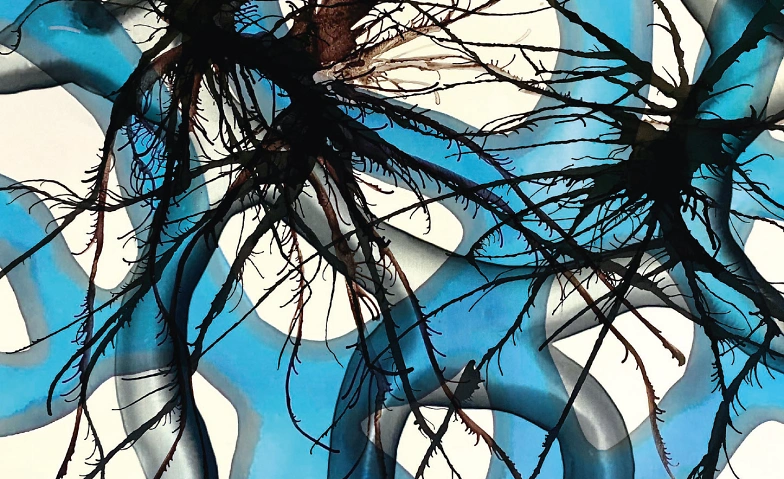 Event-Image for 'Ausstellung Fraenzi Neuhaus'
