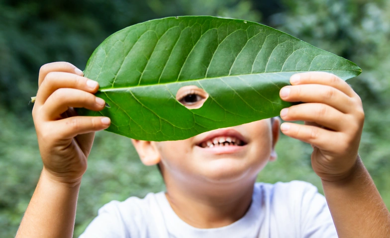 Event-Image for 'Kinder Waldwoche Sommerferien'