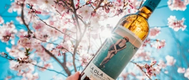Event-Image for 'Tasting Night «Picnic Wines for Spring» Wineshop Zürich'