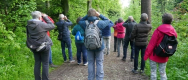 Event-Image for 'Der NVS Meise Arbon lädt zur Stunde der Gartenvögel'