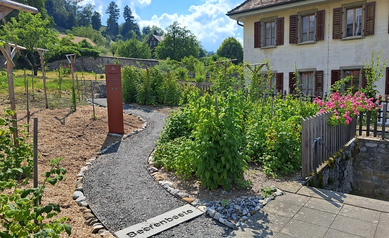 &Ouml;ffentliche F&uuml;hrung durch die Essbare Landschaft Billets