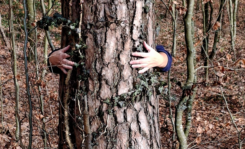 Achtsamer Waldspaziergang mit allen Sinnen in Allensbach! Tickets