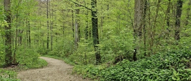 Event-Image for 'NVVT: Wald- und Gartenexkursion in Trimbach'