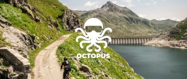 Event-Image for 'Octopus Gravel'