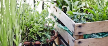 Event-Image for 'Urban Gardening mit Permakulturansatz'