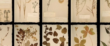 Event-Image for 'Die ganze Welt in einem Herbarium'