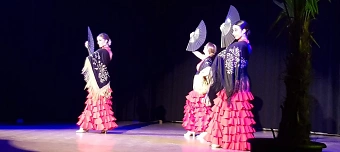 Veranstalter:in von Flamenco & Dinner