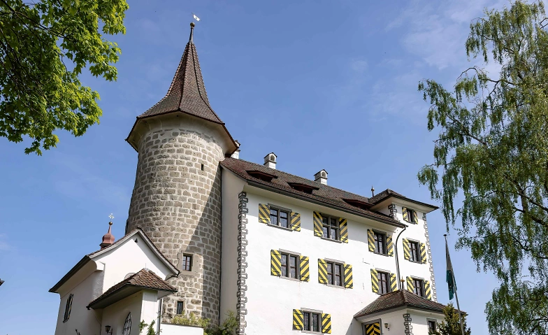 F&uuml;hrungen im Schloss Schauensee ${singleEventLocation} Billets