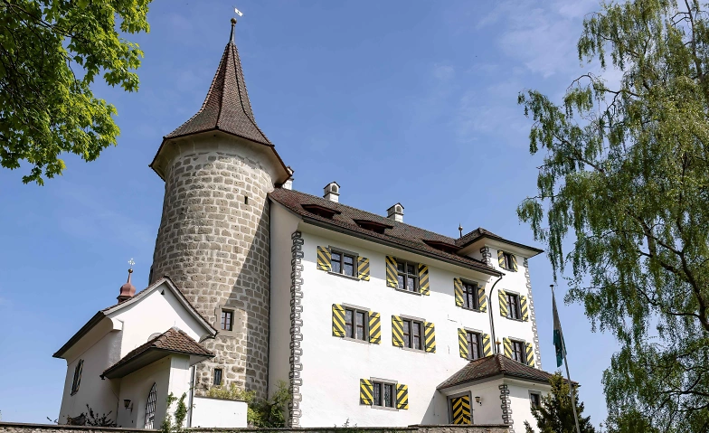 F&uuml;hrungen im Schloss Schauensee ${singleEventLocation} Billets