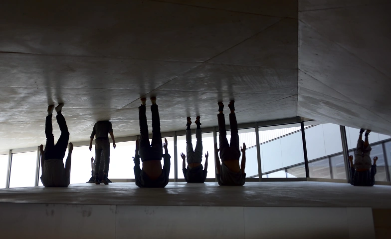 Event-Image for 'Compagnie Moost (CH) – «À l’Échelle»'