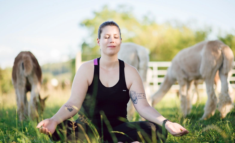 Yoga inmitten Alpakas Landiswil an Auffahrt Tickets