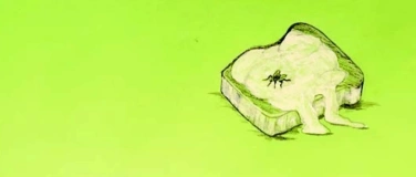 Event-Image for 'Eintagsfliege – Performance von Ig so, du so? Auso!'