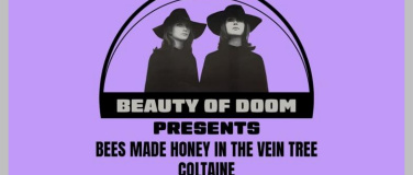 Event-Image for 'Bees Made Honey in the Vein Tree & Coltaine Live'