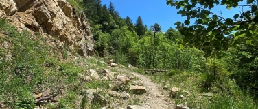 Event-Image for 'Exkursion Pflanzenwelt im UNESCO-Weltnaturerbe Bettlachstock'