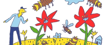 Event-Image for 'Abendspaziergang:Wie die Holzbiene in deinen Garten kommt'