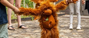 Event-Image for 'Kurzworkshop am Welt-Orang-Utan-Tag'