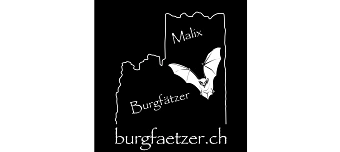 Organisateur de Burgfätzata