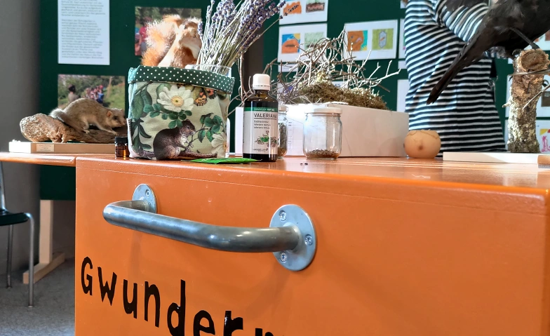 Event-Image for 'Gwunderstunde: Bodengeschichten'