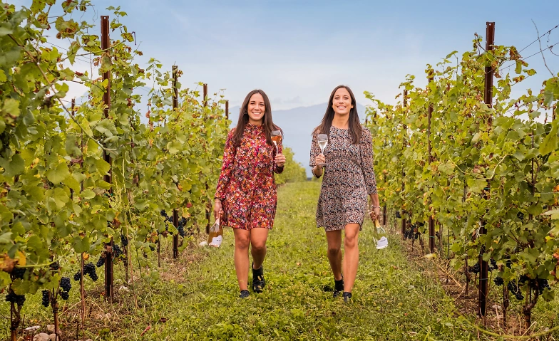 Event-Image for 'Baur au Lac Vins-Sommerfest  PALADIN & Amici in Regensdorf'