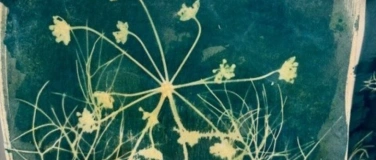 Event-Image for 'Cyanotypie - Eisenblaudruck'
