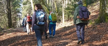 Event-Image for 'Sternwanderung von Vorderrein, Bruggerberg, Geissenschachen'