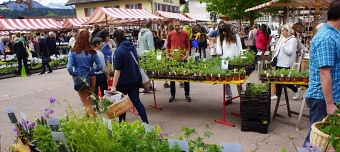 Veranstalter:in von Entlebucher Kräuter- und Wildpflanzenmarkt