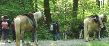 Event-Image for 'Pony und Esel Trekking'