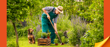 Event-Image for 'Mensch und Hund - ausgerichtete Basisarbeit'