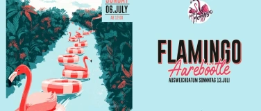 Event-Image for 'Flamingo Aareböötle 2025'