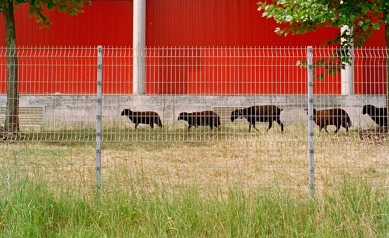 Event-Image for '«Unter uns» Führung'