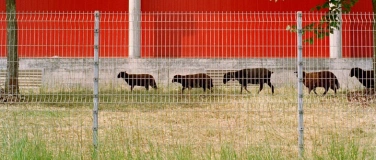 Event-Image for '«Unter uns» Vernissage'