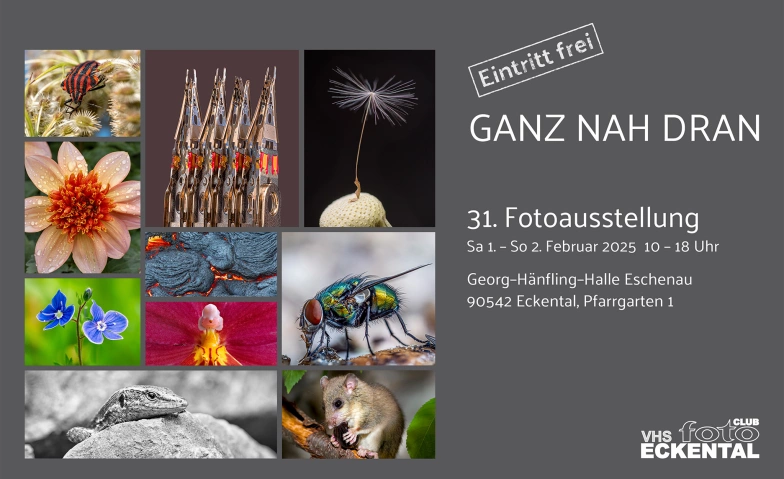 Event-Image for 'Foto-Ausstellung "Ganz nah dran"'