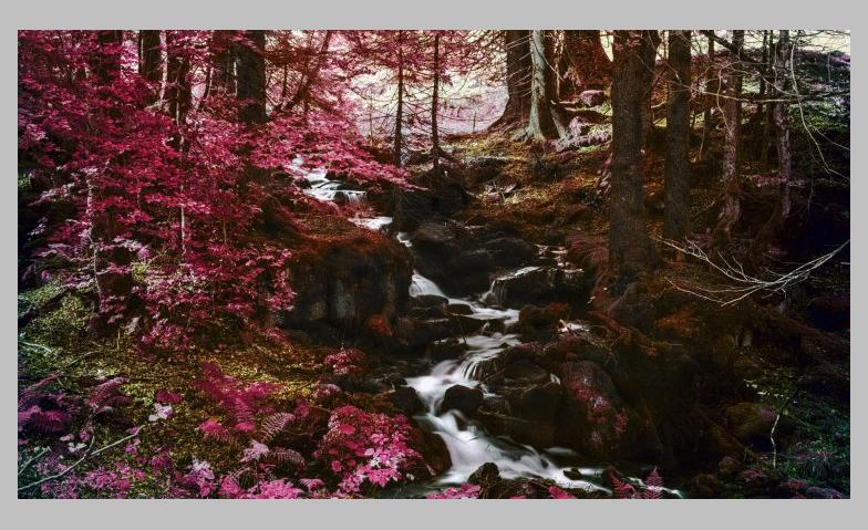 Wald. P&ouml;schelibock, Waldteufel und Laubsack Billets