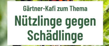 Event-Image for 'Gärtner-Kafi: "Nützlinge gegen Schädlinge"'