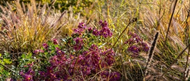 Event-Image for 'Montagsführung: Herbstspaziergang'