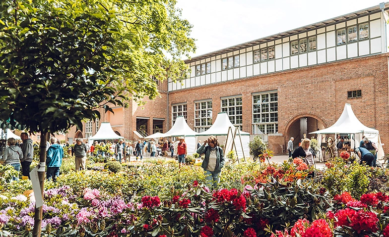 Event-Image for 'Gartenträume auf der Rennbahn Hoppegarten 23. bis 25. Mai'