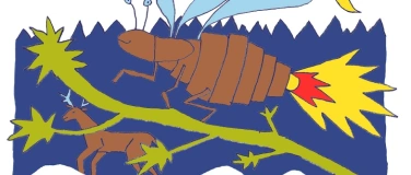 Event-Image for 'Abendspaziergang: Von wilden Tieren und glühenden Käfern'