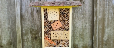 Event-Image for 'Nisthilfen für Wildbienen bauen'