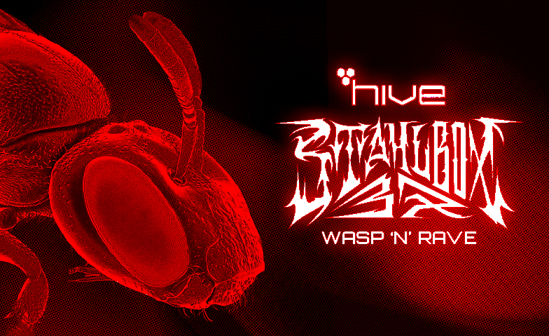 Event-Image for 'HIVE  x WASP 'N RAVE'