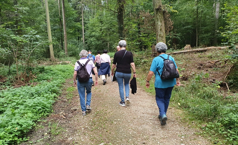Event-Image for 'ZÄMEGOLAUFE Olten'