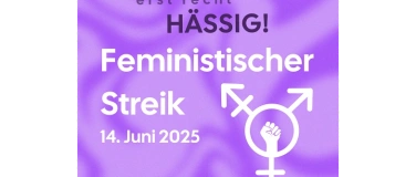 Event-Image for '6. Feministischer Streik 14. Juni 2025 in Solothurn!'