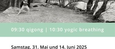 Event-Image for 'Qigong Grundlagenkurs - die Kraft der Stille'