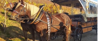 Event-Image for 'Kutschenfahrt mit Apéro'