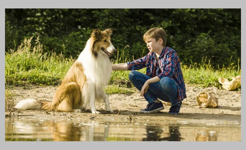 Event-Image for 'Lassie – Ein neues Abenteuer'