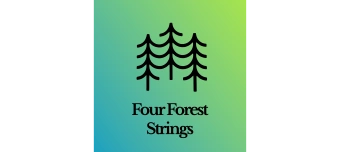 Event organiser of Four Forest Strings & Simon Heggendorn: SATURATION