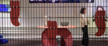 Event-Image for 'Mensch und Tier – Eine Frage der Haltung'