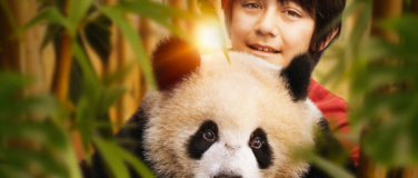 Event-Image for 'Moon, der Panda'